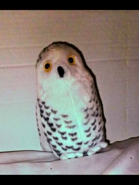 Plush Snowy Owl Stuffed Animal - White with Black Accents